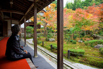Japanese woman enjoy autumn park at enkoji, Kyoto