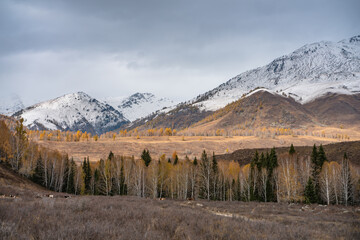 Autumn landscape of the mountains and forest in Kanas, Xinjiang province, China.