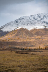 Autumn landscape of the mountains and forest in Kanas, Xinjiang province, China.