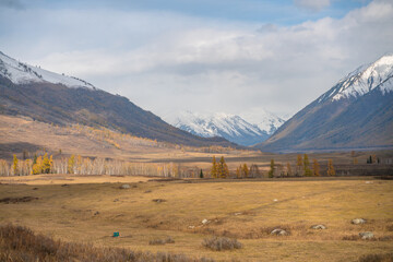 Autumn landscape of the mountains and forest in Kanas, Xinjiang province, China.