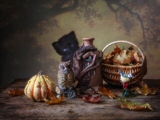 Funny autumn picture with a little black kitten
