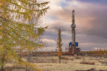 Northern taiga in autumn. Golden yellow palette. Landscape at the oil and gas field. A drilling rig...