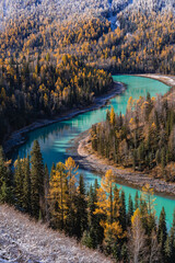 Autumn landscape of Kanas river and forest, in Xinjiang province, China. - obrazy, fototapety, plakaty