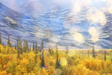 abstract landscape background autumn sun glare defocus bokeh, view sun background