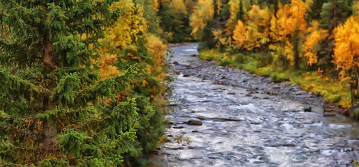 autumn taiga forest landscape, nature view fall in the mountains