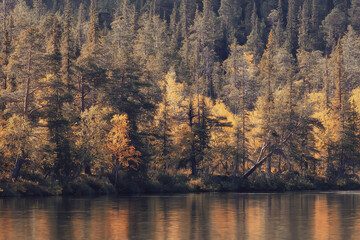 scenic, autumn landscape trees and forest river and lake, nature view fall background