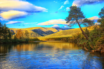 autumn forest mountains panorama, landscape trees, nature yellow season