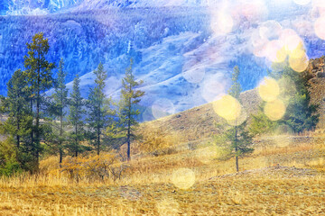 abstract landscape background autumn sun glare defocus bokeh, view sun background