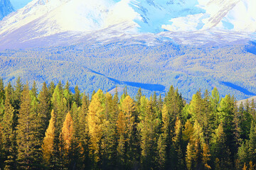 Altai mountain landscape, panorama autumn landscape background, fall nature view