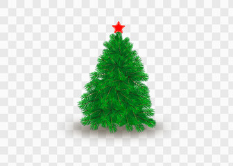 Christmas Decoration. Green branches of a Christmas tree on a background of wood. Vector Eps10