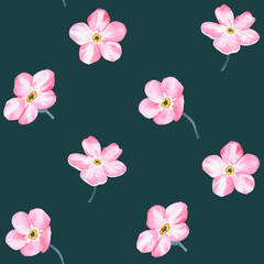 Pink forget-me-not. Pattern. Watercolor botanical illustration included in the collection of wildflowers. Isolated image on a dark background. For your design.