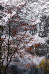 płonące liście w g&oacute;rach