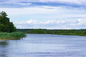 Muromka river in the area of Lake Onega on a summer sunny day