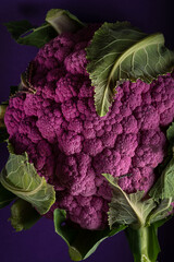 Purple cauliflower on the purple background