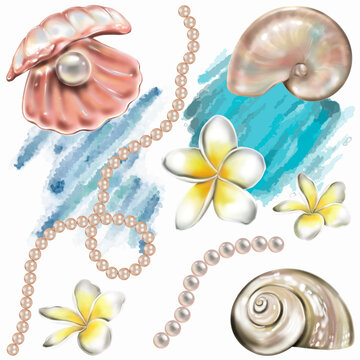 Sea shells, pearl and plumeria flowers. Hand painting illustration.