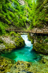 Vintgar Gorge Canyon in Slovenia Near Lake Bled. Wild Nature in Europe