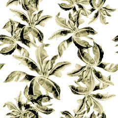 Gray Banana Leaf Illustration. White Isolated Print. Seamless Print. Pattern Palm. Watercolor Foliage. Tropical Palm. Botanical Leaf. Vintage Backdrop.