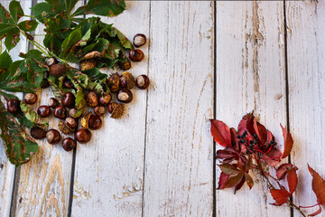 Chestnuts, nuts and leaves on a wooden, white background, vintage style