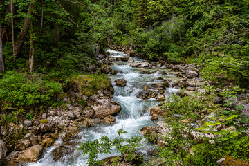 Magic Forest Zauberwald at Lake Hintersee with Creek Ramsauer Ache. National Park Berchtesgadener Land, Germany