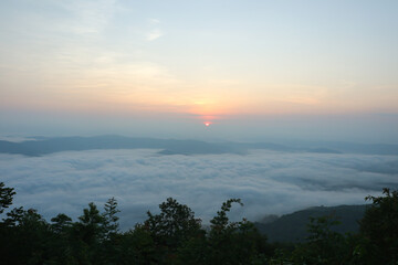 foggy landscape of mist at sunrise