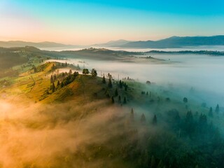 A thin layer of fog floats across the ridge at dawn. Fir trees grow on the slope. Ukrainian Carpathians in the morning. Aerial drone view.