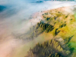 A thin morning fog covers the Ukrainian mountains. Green grass on the slopes of the mountains. A curly thin fog spreads over the mountains. Aerial drone view.