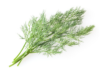 Fresh dill sprig isolated on white background