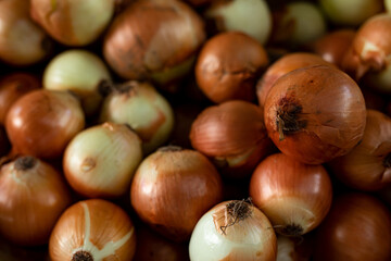 Beautiful picture of fresh onions