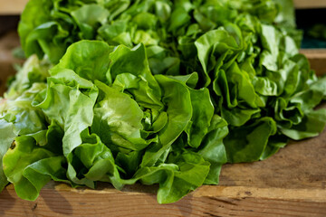 Beautiful picture of fresh lettuce