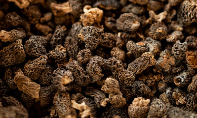 Beautiful picture of dry mushrooms
