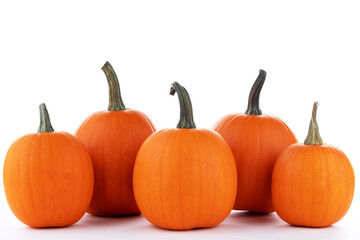 Pumpkins in a row isolated on white