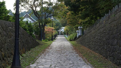 秋らしさの出てきた街を散歩する