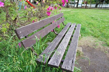 誰もいないベンチ