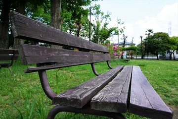 誰もいないベンチ