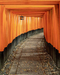 Fototapeta premium Senbon Torii of Fushimi Inari Taisha-Shrine