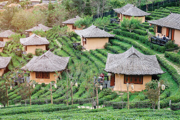 Plakat beautiful Tea garden in Ban Rak Thai village, Mae Hong Son, Thailand. travel, vacation and holiday concept
