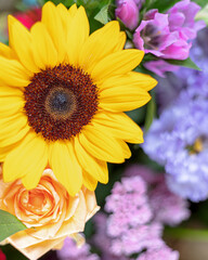 Lots of beautiful color flowers