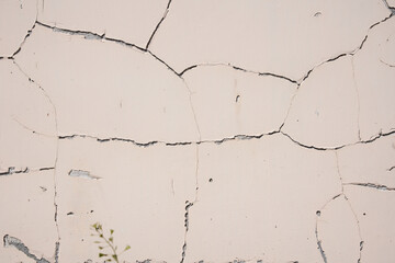Overlay for your design. Background texture of a white cement wall with a crack. A crack in the old wall. High quality photo