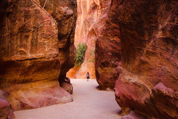 Ruins of Petra ancient town