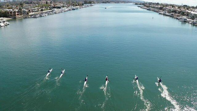 Aerial view of fit rowing team exercising in harbor water outdoors. Top view from above of athletes rowing in their kayaks or scull participating in a team sport