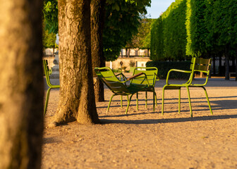 Empty chairs in the Tuileries garden, Paris