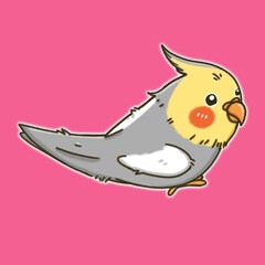 Cockatiel​ bird cartoon illustration design