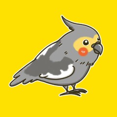 Cockatiel​ bird cartoon illustration design