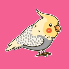 Cockatiel​ bird cartoon illustration design