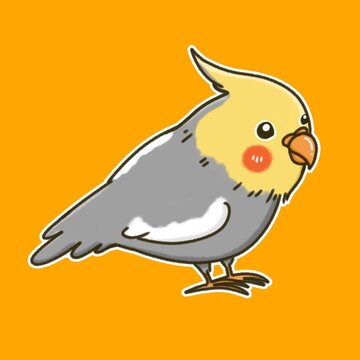 Cockatiel​ bird cartoon illustration design