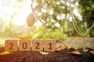 Goodbye year 2021 and last hope concept. Wooden blocks with numbers 2021 and a tree with single...
