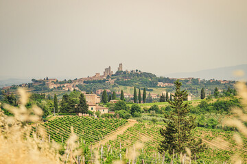 Beautiful view over the hilly landscape of Tuscany in Italy. Cypress trees and Mediterranean...