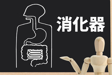 消化器