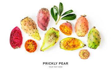 Prickly pear cactus fruits creative layout.