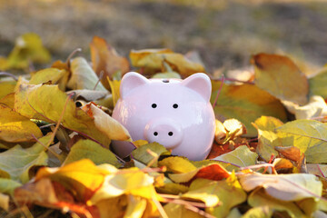 Pink piggy Bank in autumn leaves on the ground. Banking concept in autumn time